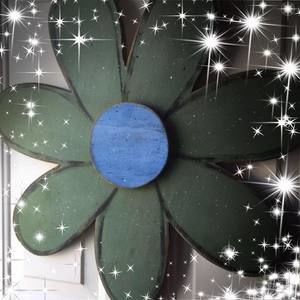 Meet your Posher, Brenda